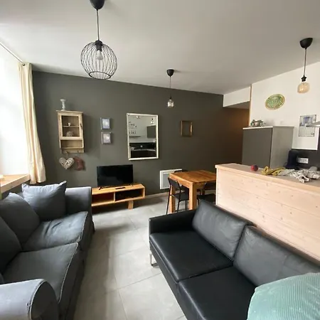 Neuf Au Centre Situe Au Rdc Avec Terrasse Givet